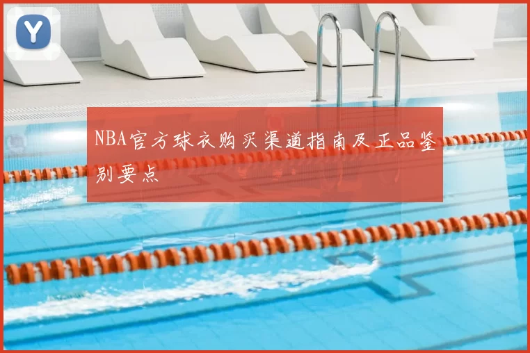 NBA官方球衣购买渠道指南及正品鉴别要点