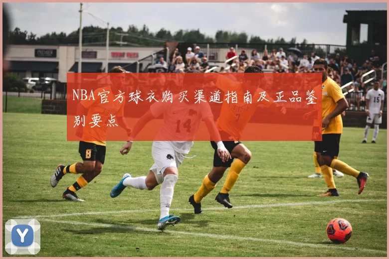 NBA官方球衣购买渠道指南及正品鉴别要点