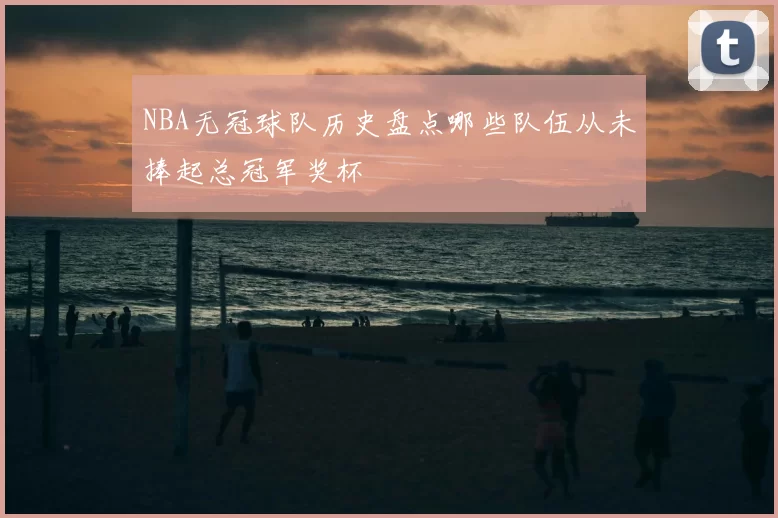 NBA无冠球队历史盘点哪些队伍从未捧起总冠军奖杯